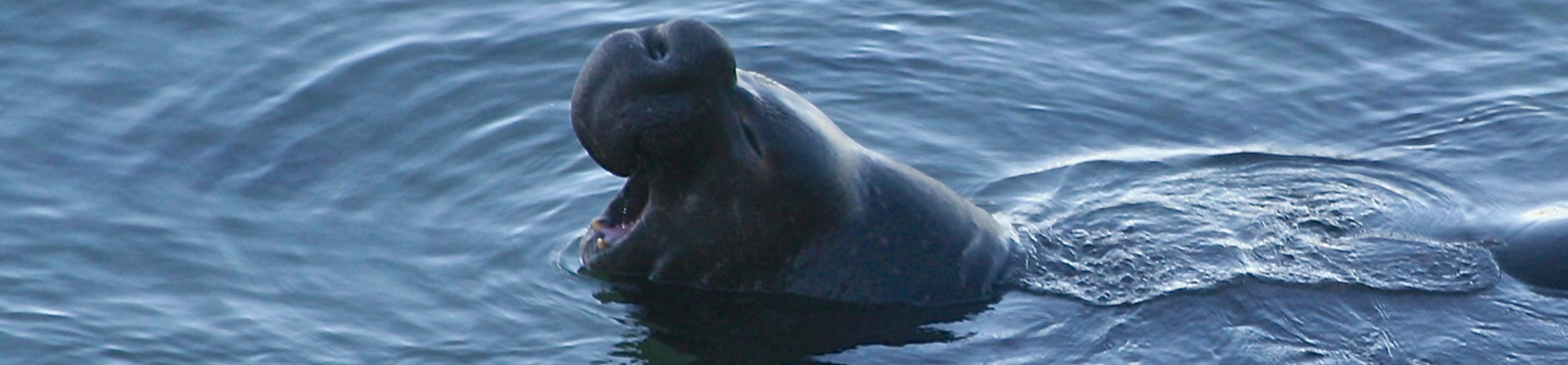 pointreyes2013122527-crop