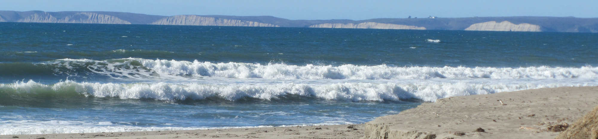 pointreyes_0102-crop pointreyes_0102-crop